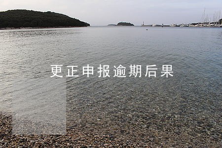 更正申报逾期后果