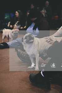 更正逾期补申报方法 更正逾期补申报方法