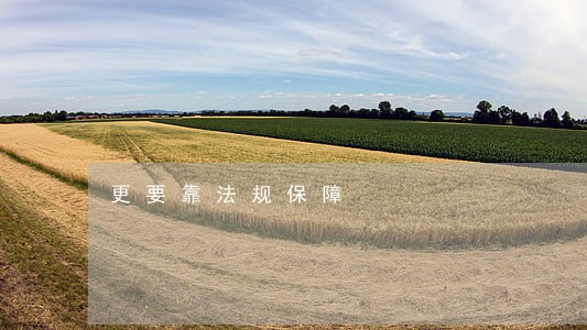 更要靠法规保障 更要靠法规保障