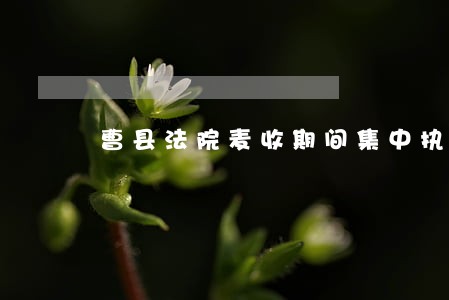 曹县法院麦收期间集中执行 曹县法院麦收期间集中执行