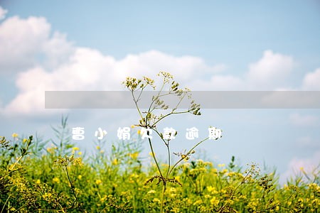 曹小娟欠款逾期 曹小娟欠款逾期