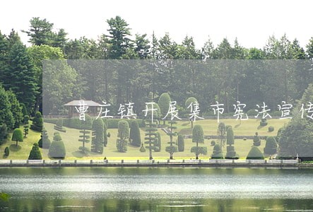 曹庄镇开展集市宪法宣传活动 曹庄镇开展集市宪法宣传活动