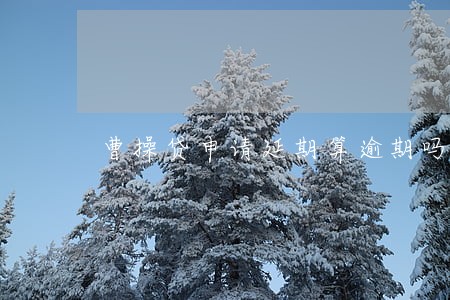 曹操贷申请延期算逾期吗 曹操贷申请延期算逾期吗