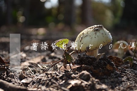 曹操贷逾期1500几年会上门吗 曹操贷逾期1500几年会上门吗