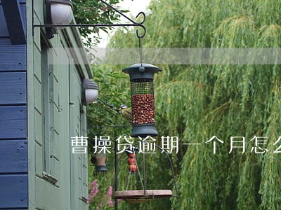 曹操贷逾期一个月怎么还款 曹操贷逾期一个月怎么还款