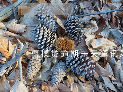 曹操贷逾期一天通讯录