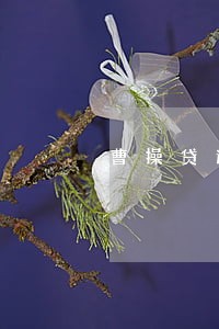 曹操贷逾期会不会爆通讯录 曹操贷逾期会不会爆通讯录
