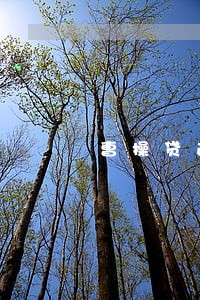 曹操贷逾期发短信威胁 曹操贷逾期发短信威胁