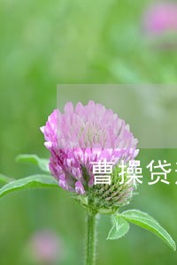 曹操贷逾期多久会给家人打电话 曹操贷逾期多久会给家人打电话