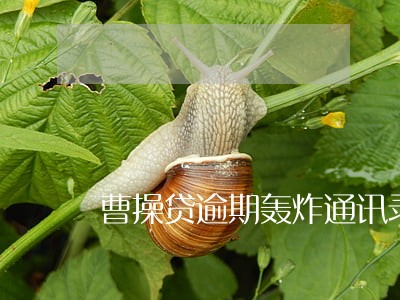 曹操贷逾期轰炸通讯录 曹操贷逾期轰炸通讯录