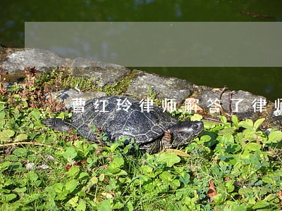 曹红玲律师解答了律师你好 曹红玲律师解答了律师你好