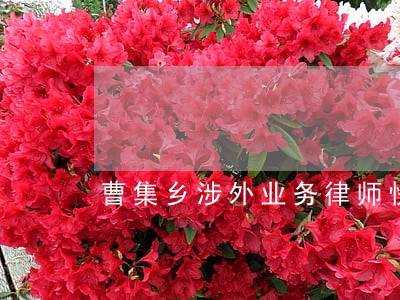 曹集乡涉外业务律师快报 曹集乡涉外业务律师快报