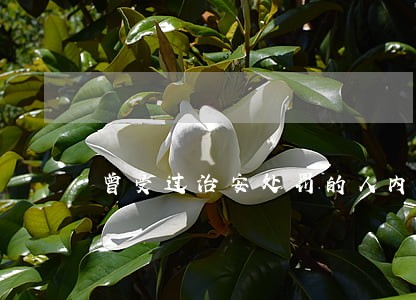 曾受过治安处罚的人内再次违法 曾受过治安处罚的人内再次违法