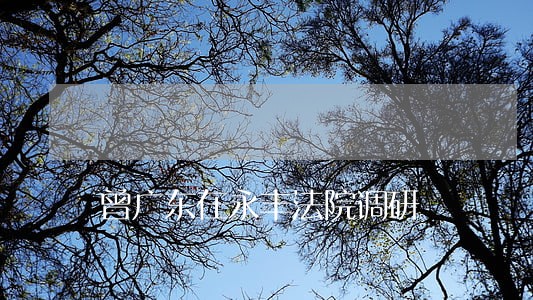 曾广东在永丰法院调研 曾广东在永丰法院调研