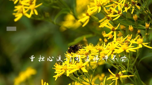 曾担心澳门司法停滞不前 曾担心澳门司法停滞不前