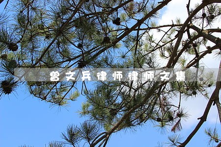 曾文兵律师律师文集 曾文兵律师律师文集
