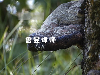 曾昱律师 曾昱律师