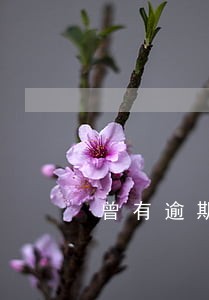 曾有逾期记录能从事金融行业吗 曾有逾期记录能从事金融行业吗