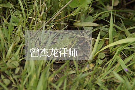 曾杰龙律师