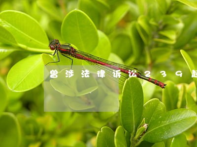 曾涉法律诉讼239起 曾涉法律诉讼239起