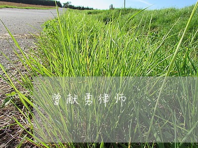 曾献勇律师 曾献勇律师