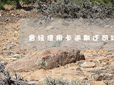 曾经信用卡逾期还可以再办吗 曾经信用卡逾期还可以再办吗