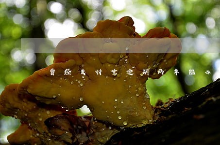 曾经支付宝逾期两年能办信用卡吗 曾经支付宝逾期两年能办信用卡吗