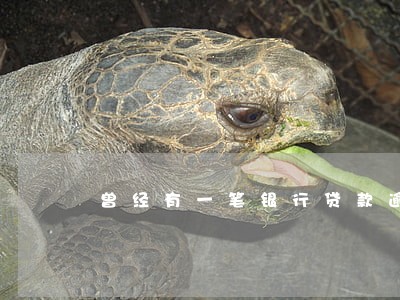 曾经有一笔银行贷款逾期60天 曾经有一笔银行贷款逾期60天