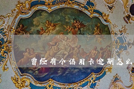 曾经有个信用卡逾期怎么还 曾经有个信用卡逾期怎么还