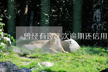 曾经有过一次逾期还信用卡 曾经有过一次逾期还信用卡