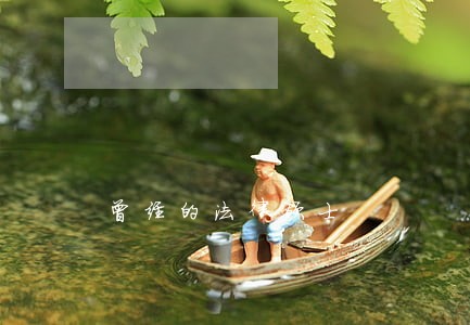 曾经的法律硕士 曾经的法律硕士