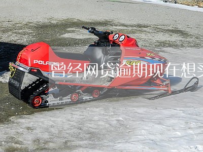 曾经网贷逾期现在想买房子怎么办 曾经网贷逾期现在想买房子怎么办