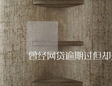 曾经网贷逾期过但却是白户 曾经网贷逾期过但却是白户