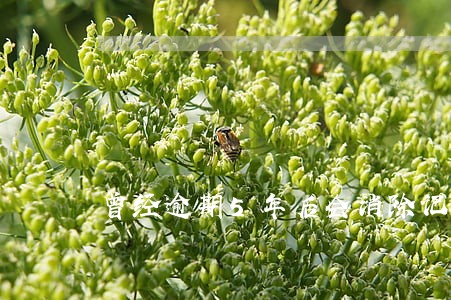 曾经逾期5年后会消除记录吗 曾经逾期5年后会消除记录吗