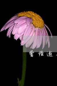 曾经逾期多久征信恢复 曾经逾期多久征信恢复