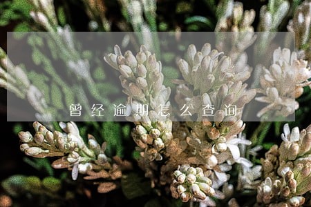 曾经逾期怎么查询 曾经逾期怎么查询
