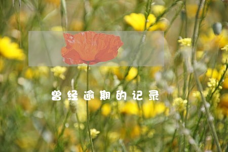 曾经逾期的记录 曾经逾期的记录
