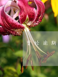 曾经逾期过什么信用卡好申请 曾经逾期过什么信用卡好申请