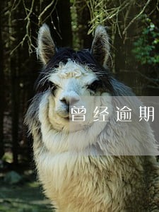 曾经逾期过会影响办护照办签证 曾经逾期过会影响办护照办签证