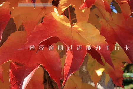 曾经逾期过还能办工行卡吗
