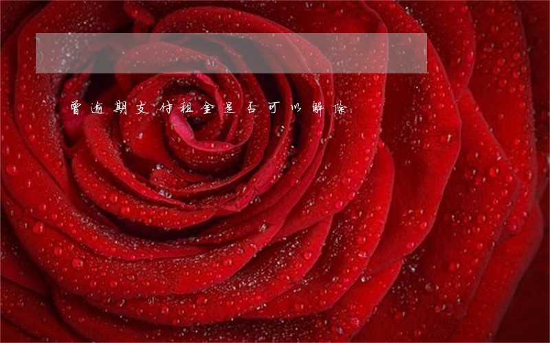 曾逾期支付租金是否可以解除 曾逾期支付租金是否可以解除