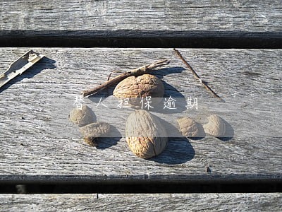 替人担保逾期