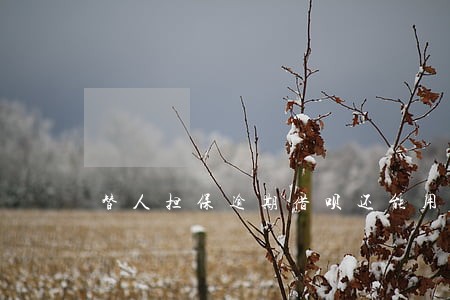 替人担保逾期借呗还能用吗 替人担保逾期借呗还能用吗
