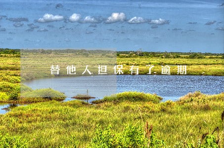 替他人担保有了逾期 替他人担保有了逾期