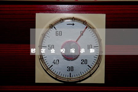 替企业担保逾期 替企业担保逾期