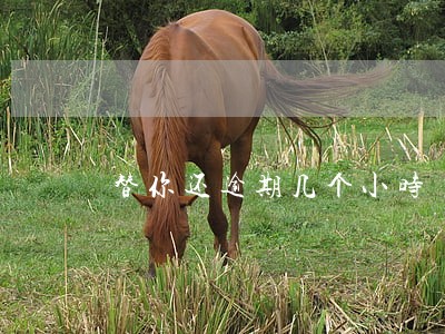 替你还逾期几个小时 替你还逾期几个小时