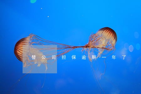 替公司担保逾期一年了 替公司担保逾期一年了