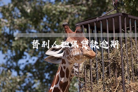 替别人担保贷款逾期 替别人担保贷款逾期