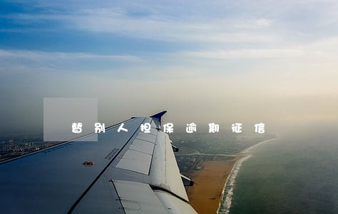 替别人担保逾期征信 替别人担保逾期征信