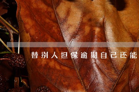 替别人担保逾期自己还能买车吗 替别人担保逾期自己还能买车吗